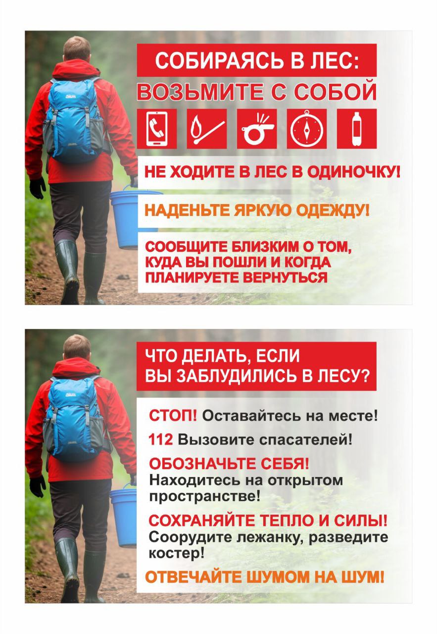 О потерявшихся в лесном массиве